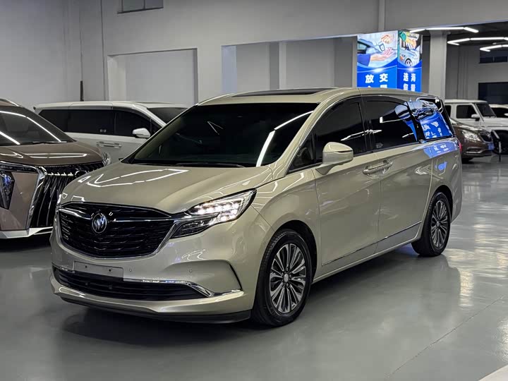 Фото 1 - Buick GL8 ES