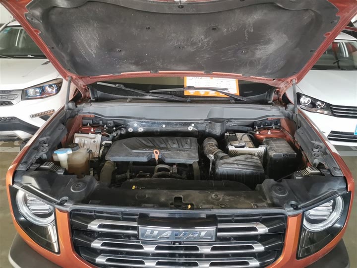 Фото 20 - Haval Dargo