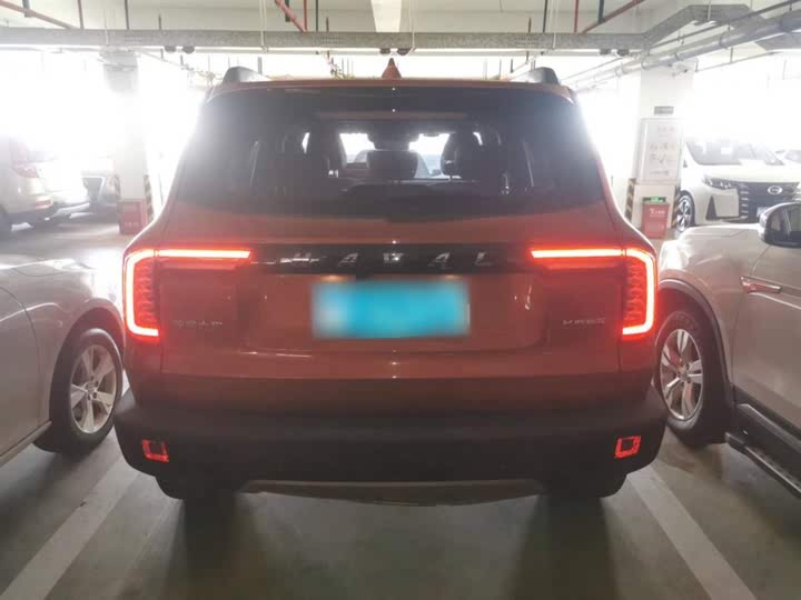 Фото 6 - Haval Dargo