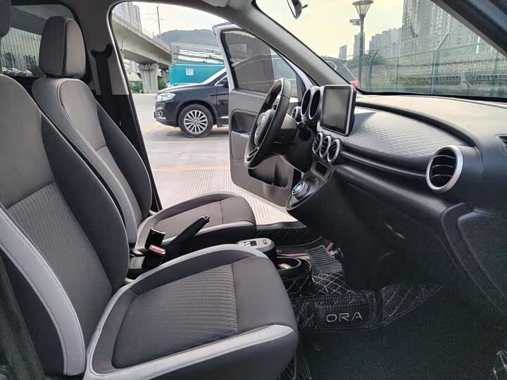 Фото 11 - Ora Black Cat