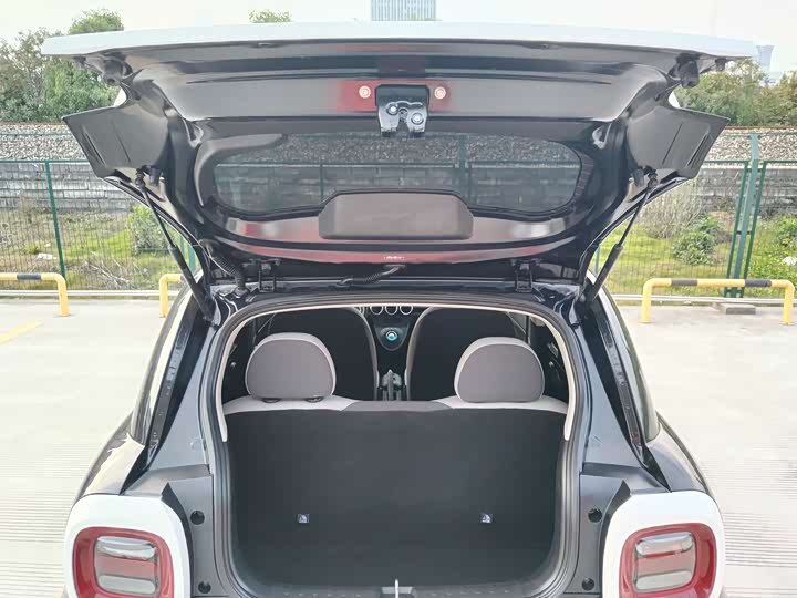 Фото 16 - Ora Black Cat