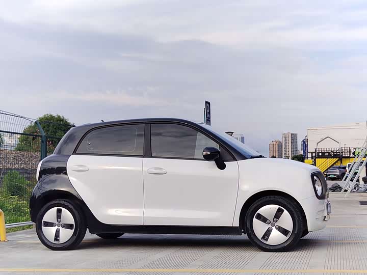 Фото 4 - Ora Black Cat