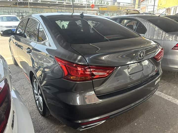 Фото 11 - Changan Raeton CC