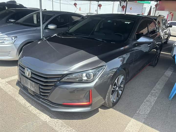 Фото 3 - Changan Raeton CC