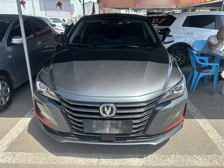 Фото 8 - Changan Raeton CC