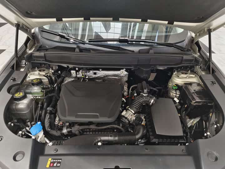 Фото 23 - Haval Ruge Max