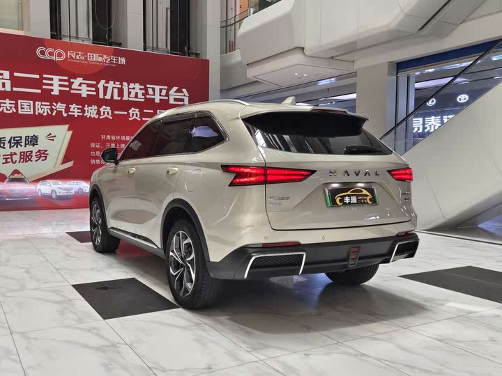 Фото 26 - Haval Ruge Max