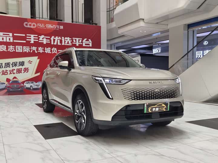 Фото 3 - Haval Ruge Max