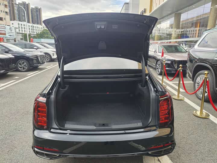 Фото 14 - Hongqi H9