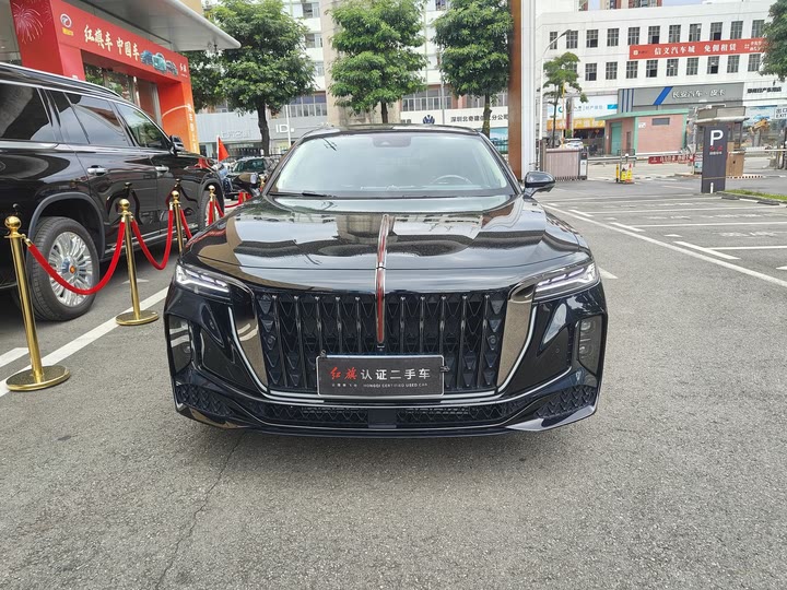 Фото 2 - Hongqi H9