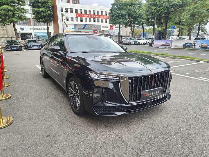 Фото 3 - Hongqi H9