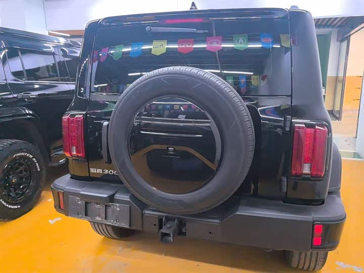 Фото 12 - Tank 300