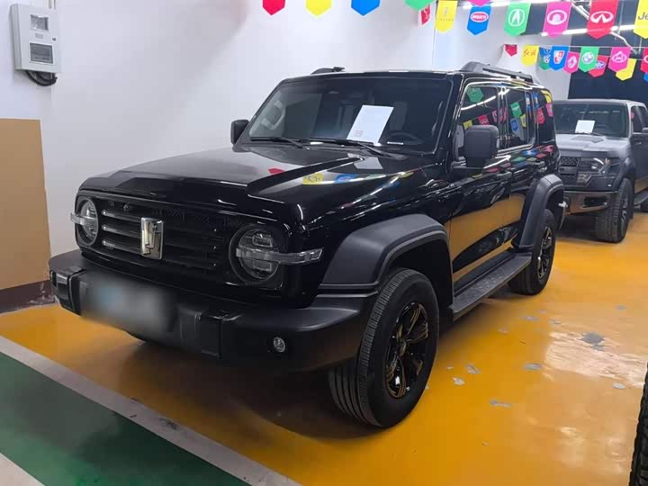 Фото 2 - Tank 300