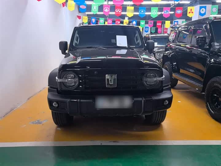 Фото 7 - Tank 300