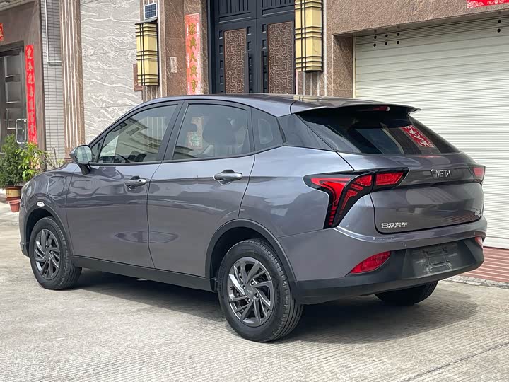 Фото 4 - Hozon V