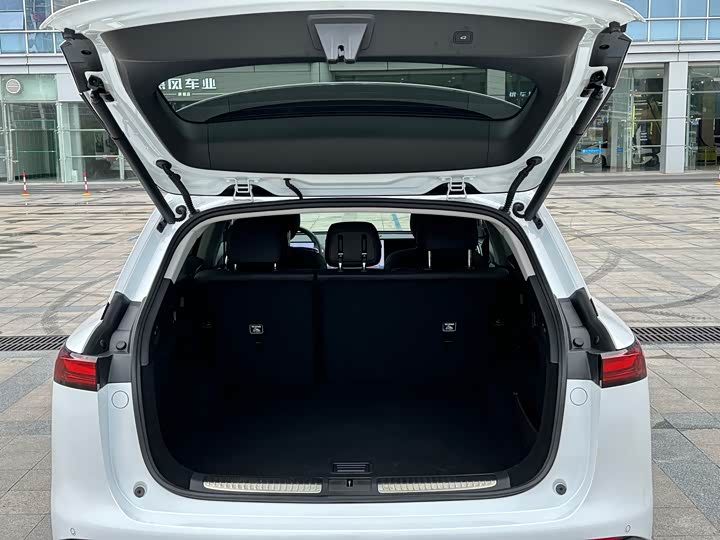 Фото 19 - XPeng G9