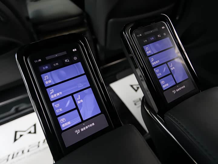 Фото 17 - Lexus LM