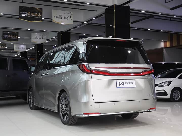 Фото 21 - Lexus LM