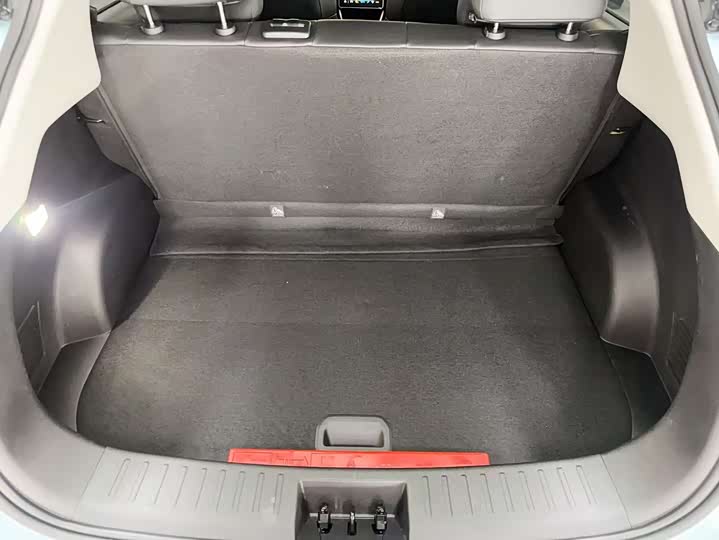 Фото 17 - Hozon V