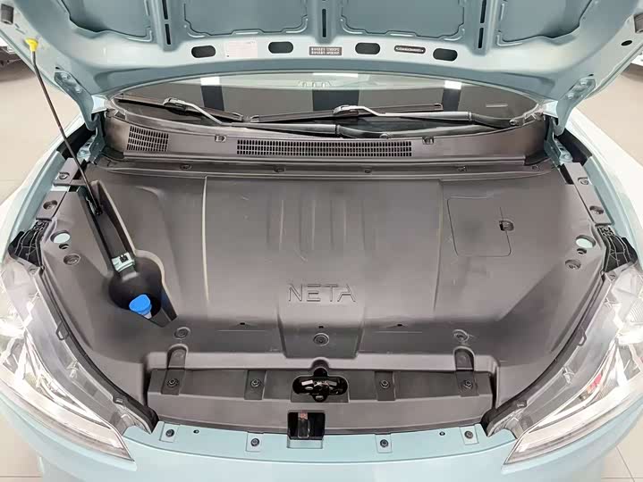 Фото 19 - Hozon V