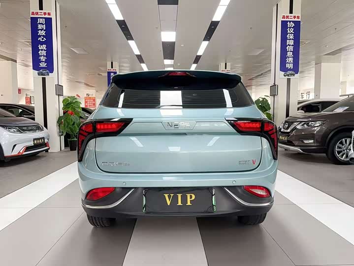 Фото 4 - Hozon V