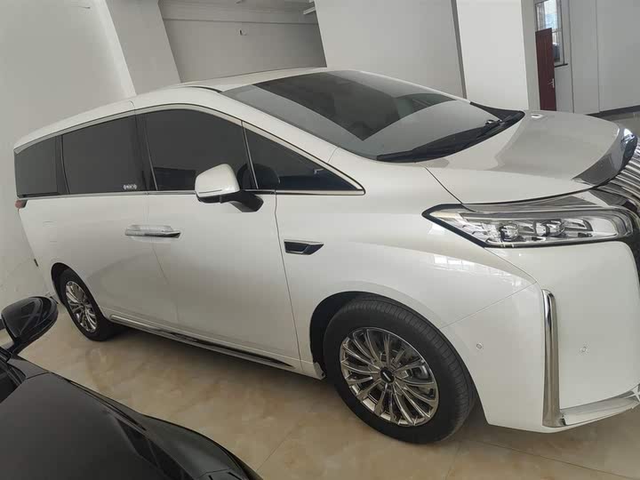 Фото 5 - Wey Gaoshan