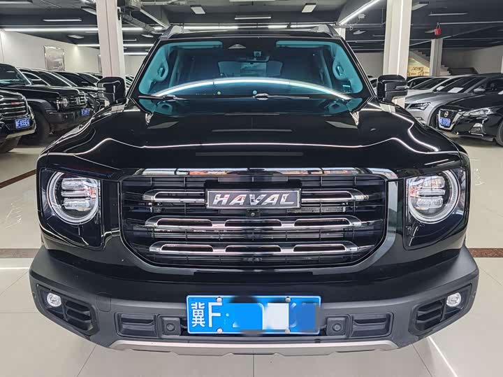 Фото 3 - Haval Dargo