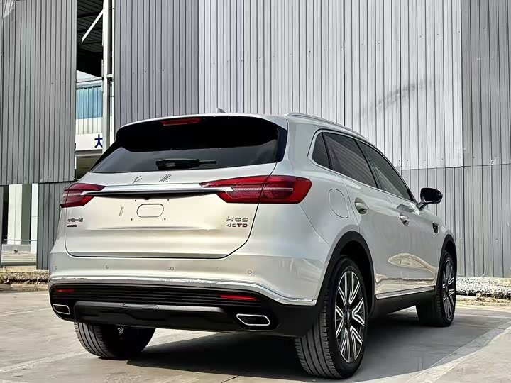 Фото 7 - Hongqi HS5