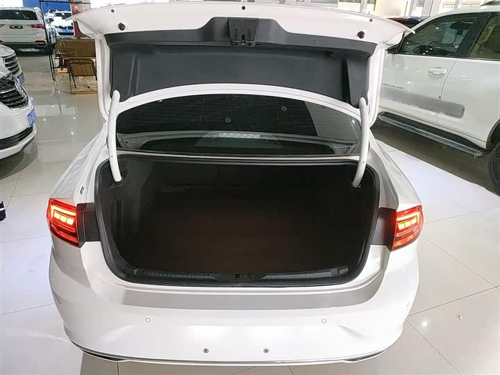 صورة 19 - Volkswagen Lamando L
