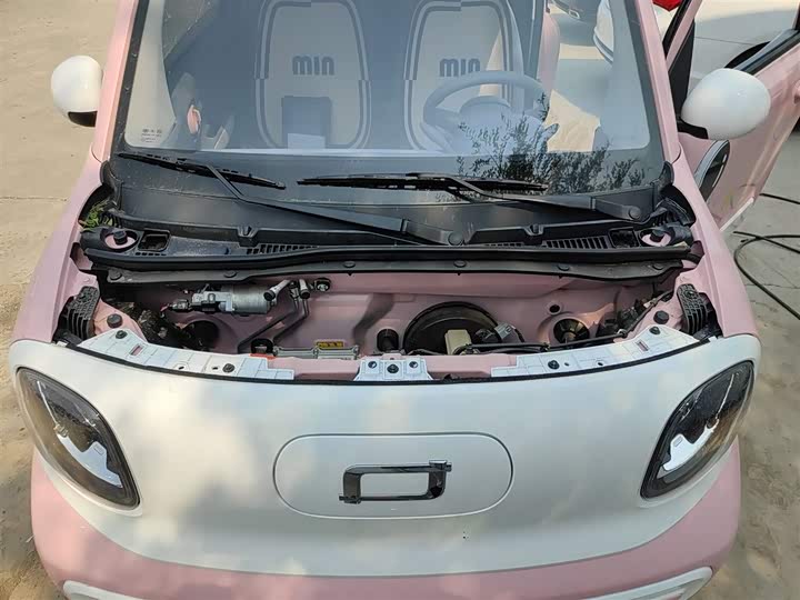 Фото 20 - Bestune Pony