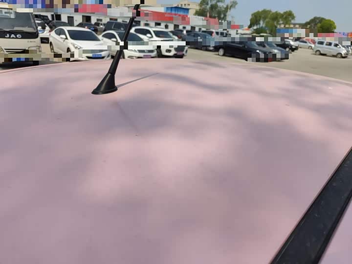 Фото 31 - Bestune Pony