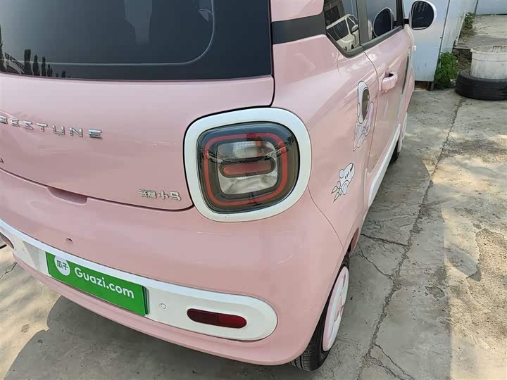 Фото 8 - Bestune Pony