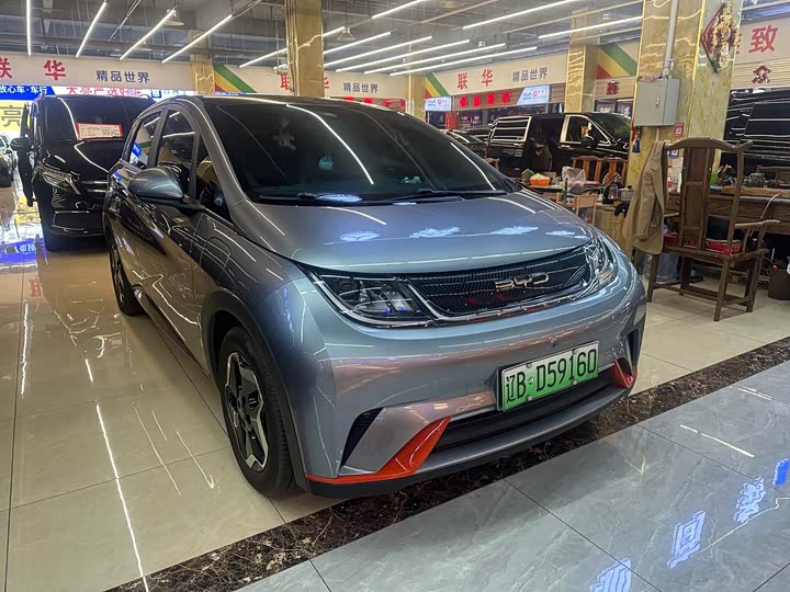 Фото 2 - BYD Dolphin