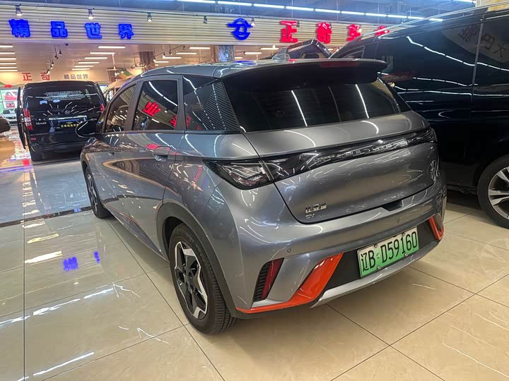 Фото 4 - BYD Dolphin