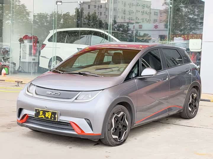 Фото 1 - BYD Dolphin