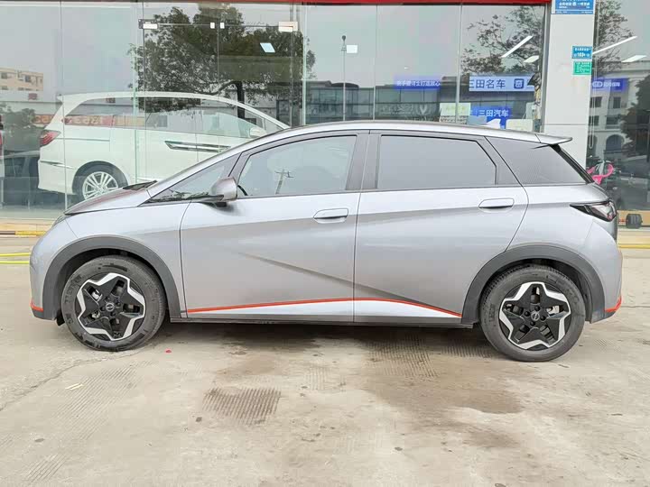 Фото 12 - BYD Dolphin