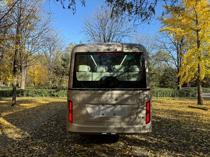 Фото 32 - Hongqi Guoyue