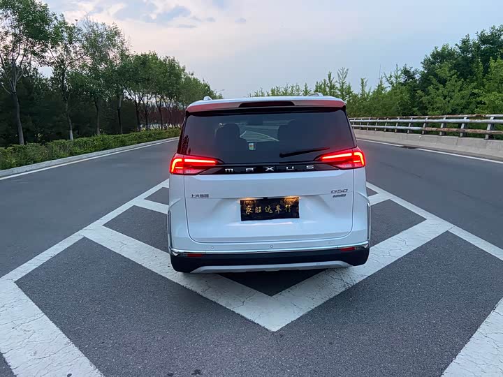 Фото 5 - Maxus G50