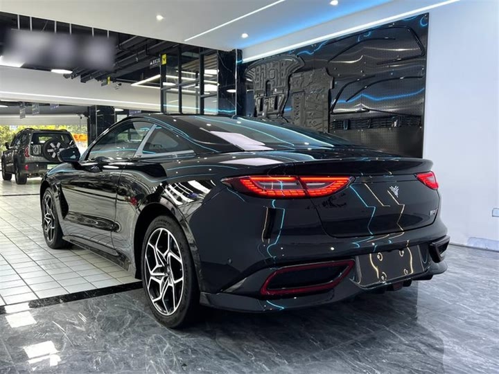 Фото 4 - Hozon GT