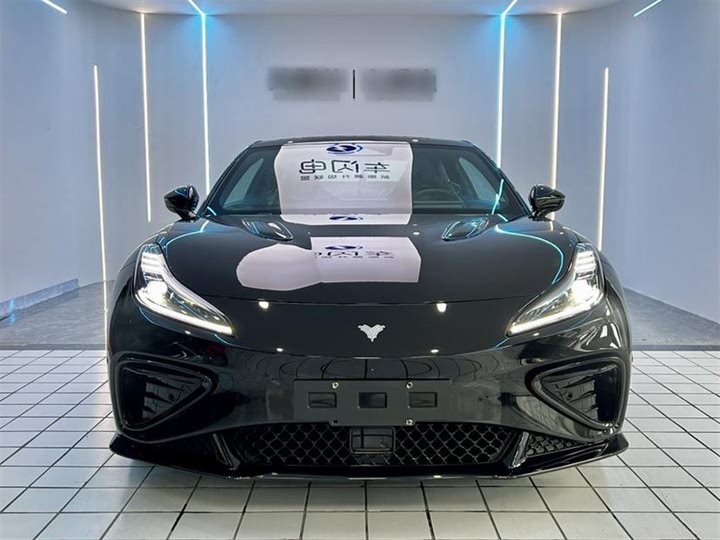 Фото 7 - Hozon GT