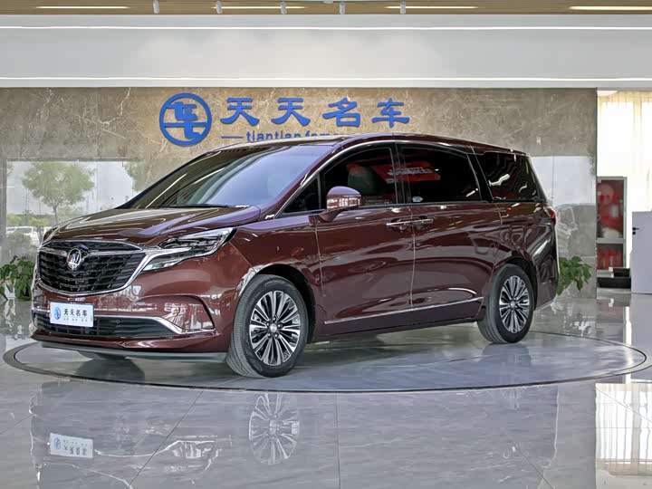 Фото 1 - Buick GL8 ES