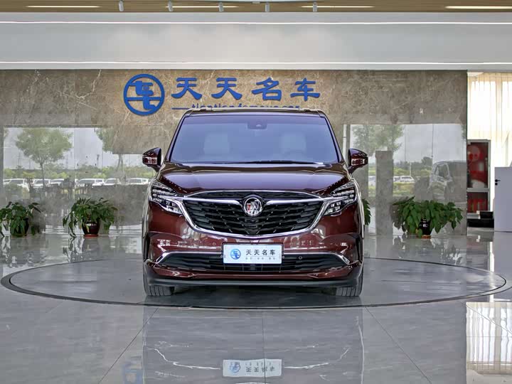 Фото 2 - Buick GL8 ES