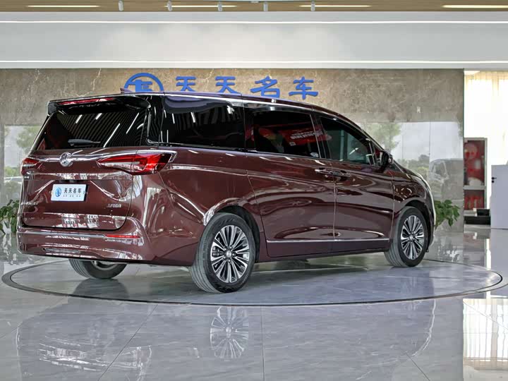 Фото 5 - Buick GL8 ES