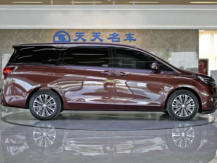 Фото 6 - Buick GL8 ES