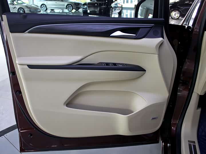 Фото 9 - Buick GL8 ES