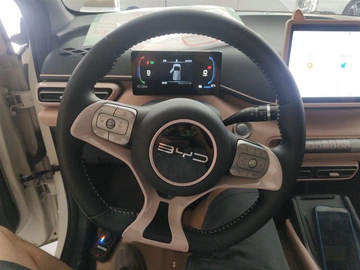 Фото 11 - BYD Seagull