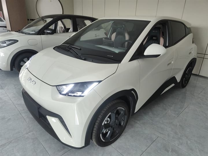 Фото 2 - BYD Seagull