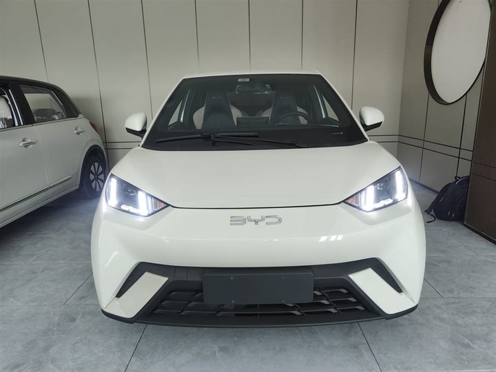 Фото 3 - BYD Seagull