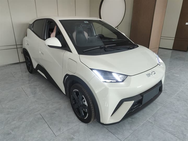 Фото 4 - BYD Seagull