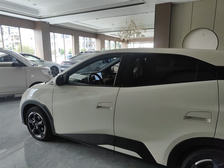 Фото 5 - BYD Seagull